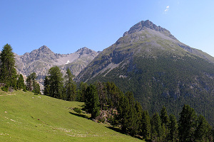 Swiss National Park