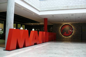 Mammut Ski Wear
