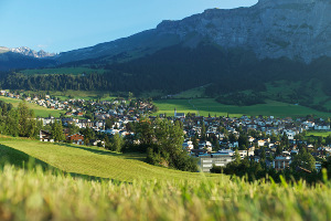 Flims