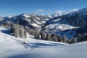 Rougemont Webcams