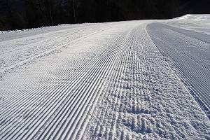 Snow Reports