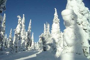 WINTER ACTIVITIES